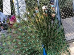 -长白岛森林公园