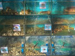 水产区-范饭椰林川湘味海鲜·椰子鸡(三亚湾椰梦长廊店)