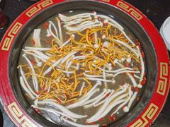 -矮板凳老火锅(宽窄巷子店)