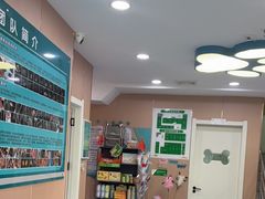 -天使宠物医院·犬猫分诊(彩虹店)