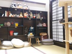-逗柴咖啡屋·狗咖猫咖宠物桌游