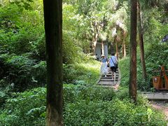 -青城山