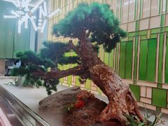 -俏江南天津时尚曲艺主题餐厅(马场道店)