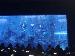 -哈尔滨波塞冬海底世界