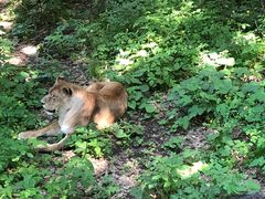 -哈尔滨北方森林动物园