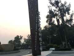 -宝安西湾红树林湿地公园