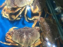 -盒马鲜生(悦峰店)