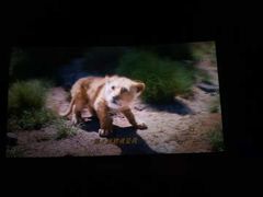 -佳兆业国际影城(鞍山店)