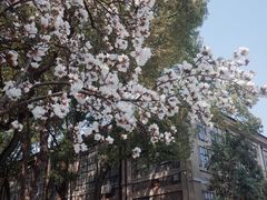-南京晨光1865创意产业园