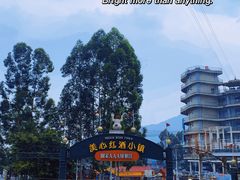 -美心红酒小镇游乐园