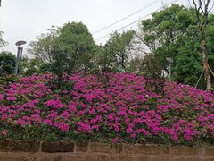 -重庆平顶山公园
