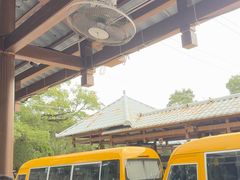 -普陀山风景名胜区-法雨禅寺