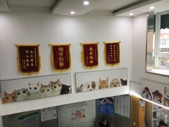 -爱侣宠医·鹦鹉专科·小型哺乳类·异宠专科(灵石路店)