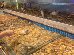 -一方渔歌蒸汽海鲜自助(文化路万达广场店)