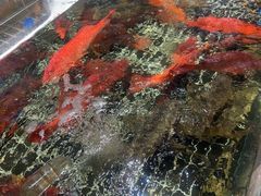 -张家卫·阳江菜·小海鲜(肥婆湾桥店)