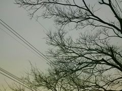 -小南山公园