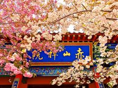 -石岛赤山风景区