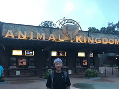 -奥兰多迪士尼动物王国乐园