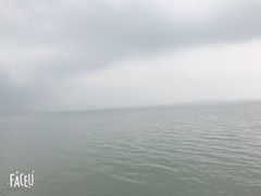 -古尚锦酒楼·水上餐厅