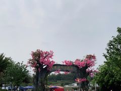 -天适樱花悠乐园