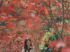 -广州市帽峰山景区