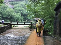 -武夷山风景名胜区-玉女峰