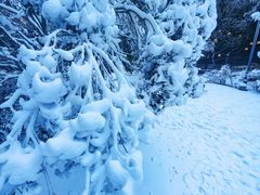 -宁波五龙潭景区