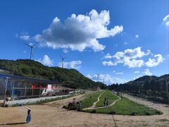 -齐岳山