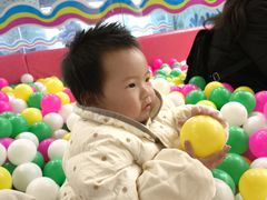 -海合安成都极地海洋公园
