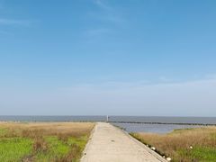 -南汇嘴观海公园