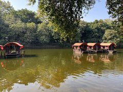 -侨美·唐荔园·40年地道粤菜