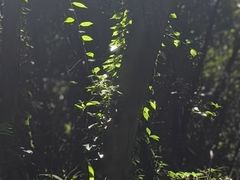-成都老君山