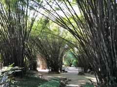 -望江楼公园