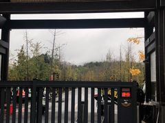 -黄陂区野村谷景区