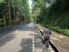 -青城山