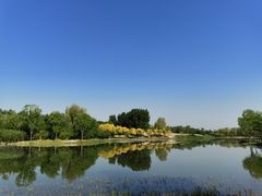 -东郊湿地公园