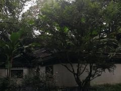 -秋霞圃