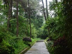 -铁山坪森林公园