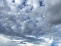 -台场海滨公园船码头