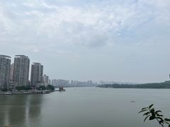 -五七油焖大虾(合川总店)