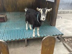 -瑞博尔花园酒店(太周创新产业园店)