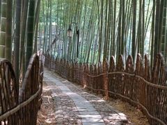 -宝岩生态观光园
