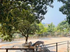 -泉州海丝野生动物世界