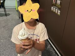 -麦当劳(北京大兴机场二层国内到达(安检外)店)