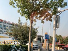 -壳牌华苑加油站