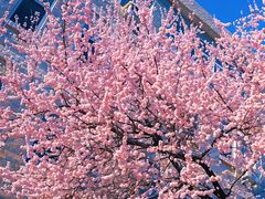 -辽宁大学(崇山校区)