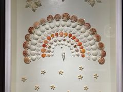 -青岛贝壳博物馆