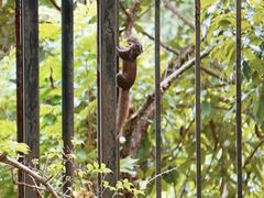 -福建鲤鱼洲酒店