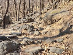 -北京鹫峰国家森林公园