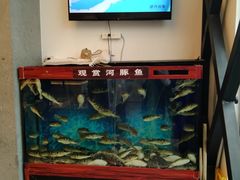 -肆月河豚·新淮扬(金融街店)